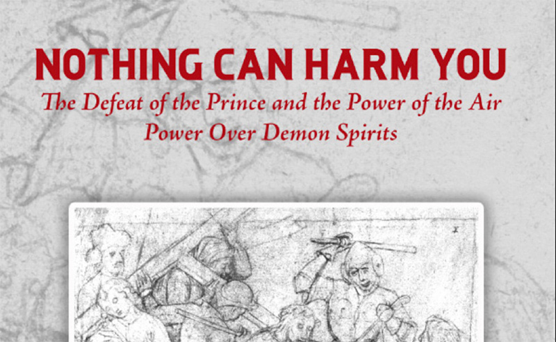 Nothing Can Harm You book cover